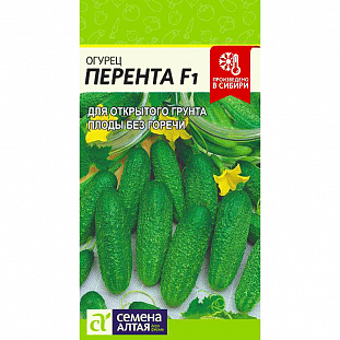 Семена Огурец Перента