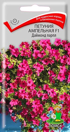 Семена&nbsp;Петуния ампельная Даймонд парпл F1.&nbsp;Длина свисающих побегов 50-70 см. Цветы воронковидные, пурпурного цвета диаметром 7-8 см. Цветёт обильно с июня по октябрь. Великолепно подходит для подвесных корзин, балконных ящиков.<br>
 <br>
&nbsp;Агротехника.&nbsp;Растение светолюбивое, засухоустойчивое, хорошо растет на любых питательных почвогрунтах. При выращивании рассады посевы проводят в феврале-марте. Семена слегка вдавливают в почву. Посадочную емкость накрывают стеклом и ставят в освещенное место. При температуре почвы +18°C всходы появляются на 14-20 день. Сеянцы пикируют в фазе 2-х настоящих листьев. Рассаду высаживают после окончания весенних заморозков. Чтобы получить идеальное растение в корзине, куст петунии надо формировать, прищипывая побеги.