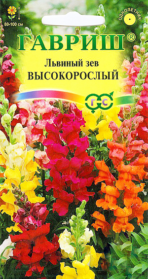 Семена Львиный зев Высокорослый.
Декоративное растение из семейства Норичниковые, культивируемое как однолетник, высотой 80-100 см. 
Цветет с конца июня до поздних заморозков Цветки собраны в кистевидные соцветия разнообразной окраски.
Холодостоек, светолюбив, к почвам нетребователен, в засушливый период нуждается в поливе. 
Выращивают рассадным способом. Посев проводят с начала марта до середины апреля. 
Всходы появляются через 8-12 дней. Рассаду высаживают во второй половине мая с расстоянием между растениями 30 см. 
Используется для групповых посадок и цветников, а также для получения срезки (львиный зев стоит в воде до двух недель).