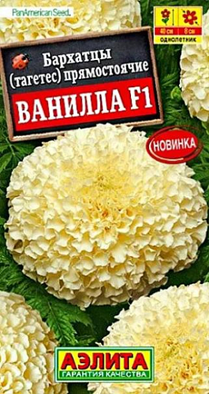 Семена Бархатцы Ванилла F1 прямостоячие.<br>
 <br>
 Потрясающий однолетник с крупными цветками настоящего кремового оттенка. Гибрид формирует прямостоячий куст высотой до 40 см и шириной до 25 см. Цветы крупные, густомахровые, диаметром 6-8 см. Листья насыщенного темно-зеленого цвета. Растение неприхотливое и при правильном уходе порадует цветением до самых заморозков. Бархатцы используют для создания пышных бордюров, рабаток, прекрасно подходят для балконных контейнеров и горшков. Дают отличную срезку.<br>
 Бархатцы предпочитают солнечные участки с дренированными, плодородными почвами нейтральной кислотности. Растения теплолюбивые, быстрорастущие, взрослые – достаточно засухоустойчивые.<br>