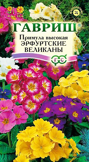<div>
 Семена Примула высокая Эрфуртские Великаны.
</div>
Многолетнее травянистое растение 20-30 см высотой. Цветки разнообразной окраски, до 2,5 см в диаметре, собраны по 7-10 штук в зонтиковидные соцветия. Размножают примулы семенами, делением куста и листовыми черенками. Семена высевают осенью. Рассаживают на постоянное место весной или осенью второго года, с таким расчетом, чтобы посадки были сомкнутыми, и между розетками листьев не было открытого пространства, так как примулы этого не любят. Молодые растения зацветают на второй-третий год. Цветение довольно продолжительное, с апреля до конца июня. Эффектно выглядят как в одиночных посадках, так и группами. Красивые плотные соцветия великолепны для срезки.