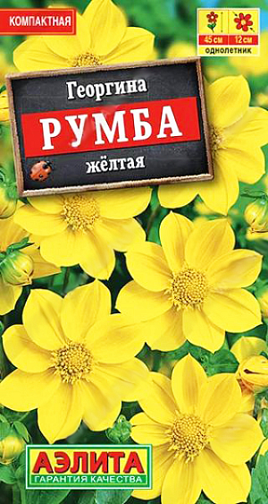 Семена Георгина Румба желтая.
Однолетник Высота растения 45 см Диаметр цветка 12 см Dahlia variabilis Компактная, низкорослая, крупноцветковая гамма, диаметром 10-12 см. Цветение очень пышное, продолжительное, с июля до заморозков. Растения тепло- и светолюбивые, хорошо развиваются на богатых, плодородных почвах. Отлично смотрятся в контейнерной культуре, на клумбах, в бордюрах и рабатках. Агротехника. Посев. Выращивают рассадным способом с пикировкой сеянцев в фазе двух-трех настоящих листьев. Рассаду высаживают в открытый грунт, когда минует опасность заморозков. К концу вегетации образует корнеклубни, которые можно заложить на хранение и использовать для посадки в следующем сезоне. Растениям необходимы регулярные поливы, прополки,рыхления и подкормки.