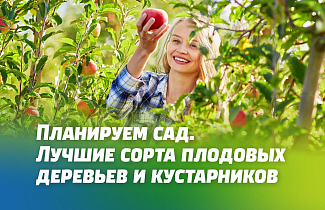ЛУЧШИЕ СОРТА ПЛОДОВЫХ ДЕРЕВЬЕВ И КУСТАРНИКОВ ЛУЧШИЕ СОРТА ПЛОДОВЫХ ДЕРЕВЬЕВ И КУСТАРНИКОВ