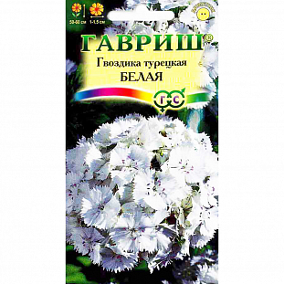 Гвоздика турецкая Белая Гвоздика турецкая Белая