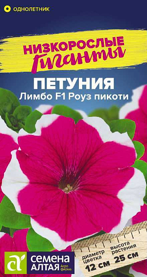 Петуния Лимбо Роуз пикоти F1.<br>
 <br>
 Петуния Лимбо – единственная на рынке генетически карликовая серия крупноцветковой петунии. Растение имеет очень хорошее ветвление, не перерастает и не вытягивается в течение всего сезона. Не нуждается в регуляторах роста. Образует компактные кустики, покрытые крупными, до 12 см в диаметре, розовыми цветками с белой серединой. Растение очень быстро восстанавливается после дождя. Цветение наступает раньше, чем у других крупноцветковых петуний. Идеальный материал для декоративного оформления балконов, фасадов зданий, городских и садовых участков.<br>
 <br>
 <br>
 &nbsp; Светолюбивое и достаточно засухоустойчивое растение. Предпочитает легкие плодородные, хорошо дренированные почвы. Посевы на рассаду проводят с середины февраля. Семена равномерно распределяют по поверхности субстрата, не заделывая, а лишь слегка вдавливая в грунт. Для получения наилучшего результата посев рекомендуем проводить в торфяные таблетки (одно драже в таблетку). Посевы увлажняют из распылителя и накрывают стеклом для поддержания постоянной влажности. Емкость помещают в светлое теплое место (+22-24°С). Всходы появляются через 10-15 дней, стекло убирают. Февральским посевам требуется дополнительная подсветка. Пока всходы мелкие, их лучше не поливать, а опрыскивать, избегайте попадания на них прямых солнечных лучей. Пикировку проводят в фазе 1-2-х настоящих листочков. В открытый грунт рассаду высаживают в конце мая - начале июня, когда минует угроза возвратных заморозков. Посадочный интервал – 30-40 см. Обильное и продолжительное цветение с июня до осенних заморозков. Возможно сохранение растений зимой в освещенном помещении при температуре около +12°С с предварительной обрезкой побегов.<br>
 <br>
 <br>
 &nbsp;<b>Внимание!</b> Семена дражированные - оболочку драже не разрушать!