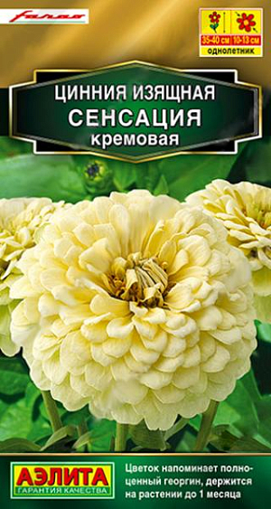 Циннии СЕНСАЦИЯ итальянской компании Farao – результат успешной селекции на очень крупный, густомахровый цветок (диаметром 10-13 см). Едва ли вы найдете такое же крупное соцветие у других сортов и гибридов. <br>
 <br>
 Напоминающий полноценный георгин, эффектный цветок держится на растении более месяца. Крепкие, раскидистые кусты 35-40 см высотой красиво смотрятся в среднем ярусе миксбордера. Букеты из цинний СЕНСАЦИЯ долго стоят в воде.<br>
 <br>
 &nbsp;Циннии – растения теплолюбивые, быстрорастущие, относительно засухоустойчивые. Предпочитают солнечные участки с дренированными почвами среднего плодородия, нейтральной кислотности. В южных регионах возможен безрассадный способ выращивания.<br>