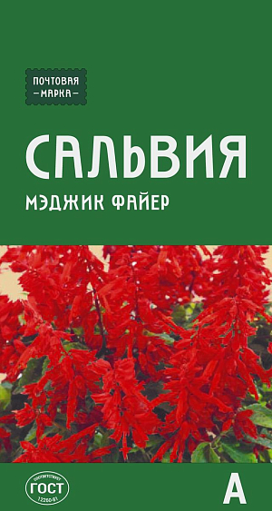 Сальвия блестящая Мэджик файер

Эффектное растение из семейства губоцветных. Цветет в течение всего сезона. Кустики компактные, невысокие. Цветки крупные, собраны в плотные ярко-красные кисти длиной 15–18 см. Сальвия теплолюбива, прекрасно
растет на умеренно плодородных почвах. Высаживают на клумбах, в бордюрах в групповых посадках, вазонах. Увядшие цветки удаляют.
