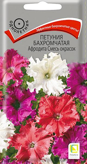 Семена&nbsp;Петуния бахромчатая Афродита смесь окрасок.&nbsp;Цветы с волнистыми и бахромчатыми краями. Растение ветвистое, высотой около 35 см. Цветы диаметром 8-9 см. Смесь состоит из разнообразных&nbsp; окрасок. Обильное цветение с июня до заморозков. Прекрасно подходит для клумб, рабаток и вазонов.