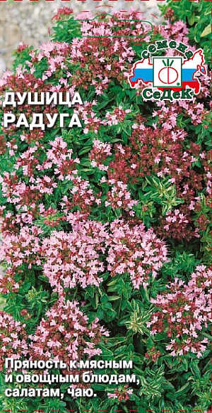 Семена Душица Радуга