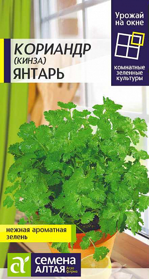 Семена Зелень Кориандр Янтарь