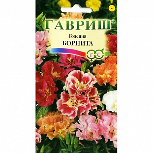 Семена Годеция Борнита