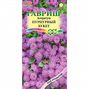 Семена Агератум Пурпурный букет