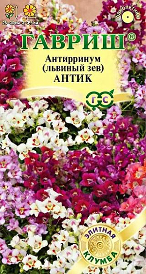 Семена Львиный зев (Антирринум) Антик<br>
 <br>
 Антирринум частый гость пышных цветников, заслуживший любовь нарядными цветами необычной формы с богатой и яркой палитрой окрасок. Новая необыкновенная серия Антик с удивительными открытыми азалиевидными цветками с волнообразным краем, что создает эффект махровости, и приятным ароматом станет достойным украшением вашего сада. Интенсивно ветвящейся кустик, достигающий в высоту 25-30 см, буквально усыпан крупными цветками, собранными в кистевидные соцветия разнообразных оттенков: от легких пастельных до насыщенных темных. Цветение продолжительное и обильное с июня до заморозков. Будучи неприхотливым растением, львиный зев нуждается лишь в стандартных процедурах по уходу за растениями: правильный полив, рыхление грунта, подкормка и удаление сорняков. Выращивают рассадным способом. <br>