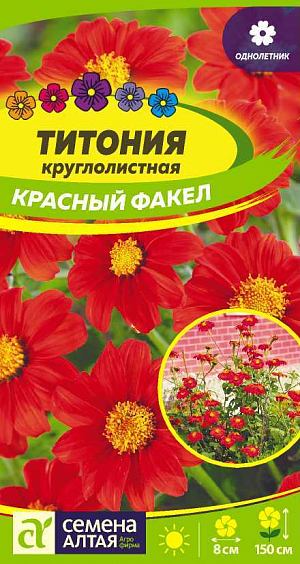 Титония Красный факел

Травянистый кустистый однолетник. Растение высокое, до 150 см. Формирует восхитительные красноватые соцветия-корзинки с желтым центром диаметром до 8 см. Предназначено главным образом для использования в миксбордерах, высоких клумбах, цветущих изгородях, отлично растет в контейнерах и горшках. Подходит для срезки. Светолюбивое и теплолюбивое растение, предпочитающее рыхлые, плодородные почвы. Для выращивания рассады семена высевают в конце марта-апреля, а пикируют в открытый грунт – в конце мая – начале июня. При безрассадном способе выращивания семена сеют под пленку в мае. Цветет с июля до заморозков.
