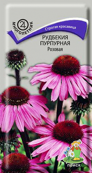 Семена Рудбекия Пурпурная розовая.
Декоративное растение для групповых посадок. Растение высотой 70 см с прямыми шероховатыми буровато-зелеными стеблями. Прикорневые листья собраны в розетку, стеблевые – ланцетные, шероховатые. Крупные соцветия-корзинки с поникшими темно-розовыми лепестками. Цветет август - сентябрь. Используют для отдельных групп на газоне, в сочетании с низкорослыми многолетниками, около деревьев и срезки. 
Агротехника. Растение светолюбивое, предпочитает питательные почвы. Для рассады посев производят в феврале – марте в рассадные ящики. При температуре +15-18°C всходы появляются на 14-20 день. В мае рассаду высаживают в грунт, выдерживая расстояние между растениями 25-30 см. В таком случае растение зацветает в год посева