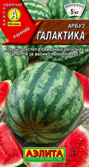 Семена Арбуз Галактика