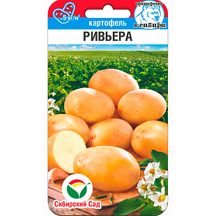 Семена Картофель Ривьера