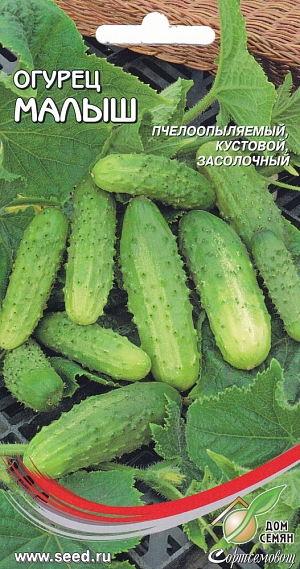 Огурец Малыш