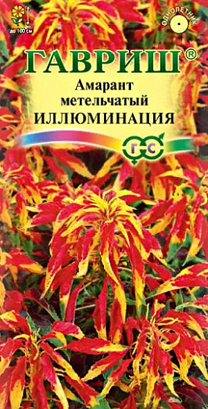 Семена Амарант Иллюминация трёхцветный<br>
 <br>
 Эффектное и очень яркое, с насыщенными красками растение. Формирует прямостоячий куст с декоративно раскрашенной листвой высотой до 100 см. Растет быстро, формируя довольно прочный прямостоящий стебель. Листья крупные, пестрые, с разнотонной «горящей» окраской, переходящей от желтой к оранжево-красной. Растение достаточно теплолюбивое, хорошо растет на солнечных, защищенных от ветра участках с плодородной, дренированной и достаточно увлажненной почвой. Рекомендуется для групповых посадок, в миксбордере как растение заднего плана. Амарант отлично декорирует изгороди и постройки.<br>