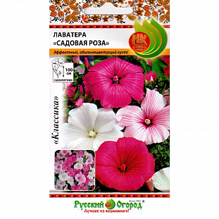 Лаватера Садовая роза Лаватера Садовая роза