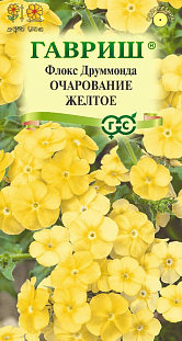 Флокс Очарование желтое, Друммонда* Флокс Очарование желтое, Друммонда*