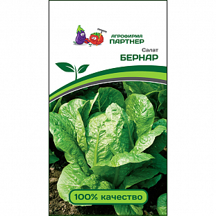 Семена Салат кочанный Бернар