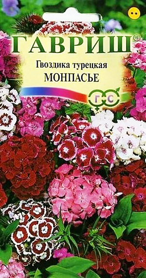 Семена Гвоздика Монпасье турецкая.
Травянистое растение с многочисленными узловатыми стеблями. Стебли прямые, прочные, листья сидячие, ланцетные с сизоватым налетом. Цветки бархатистые, ароматные, самых разнообразных окрасок, собраны в плотные щитковидные соцветия. Зимостойка, предпочитает освещенные участки с легкими плодородными почвами, может расти в полутени. Размножают посевом семян в грунт весной или под зиму. Оптимальная температура для прорастания семян 20 °C. Всходы появляются через 7-10 дней. Сеянцы пикируют или продергивают, выдерживая расстояние между ними в 5 см. Подросшие растения рассаживают на постоянное место. Используют для цветников, бордюров и получения высококачественной срезки.