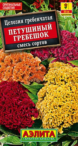 Семена Целозия Петушиный Гребешок смесь окрасок.
Оригинальное быстрорастущее растение с плотными массивными соцветиями напоминающими петушиный гребень. Стебли прямостоячие, мощные, сочные, высотой до 50см. Цветение раннее, обильное и продолжительное, с июля до осенних заморозков. Целозии теплолюбивые, засухоустойчивые, предпочитают солнечные, защищенные от ветра места. Хорошо смотрятся в групповых и одиночных посадках в цветниках, рабатках и на клумбах. Отличный материал для составления зимних сухих композиций. Агротехника. Посев на рассаду в конце марта-начале апреля. Всходы появляются через неделю. С появлением одного-двух настоящих листьев сеянцы пикируют в отдельные горшочки. В открытый грунт рассаду высаживают в начале июня, когда минует угроза заморозков. Растениям необходимы своевременные поливы, прополки, 
рыхления и подкормки. 