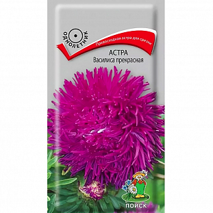 Семена Астра Василиса прекрасная
