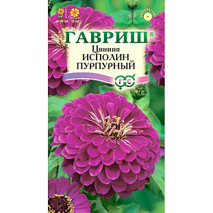 Семена Цинния Исполин Пурпурный