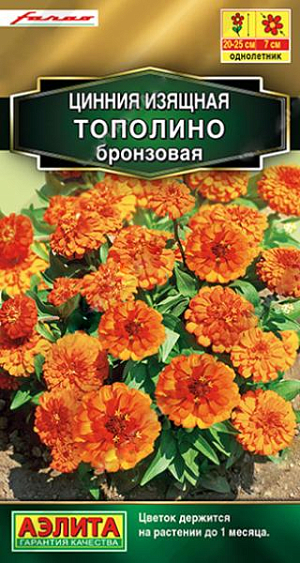 Семена&nbsp;Цинния Тополино бронзовая. Компактные размеры куста очень удачно сочетаются с обильнейшим цветением. Аккуратный низкорослый кустик 20-25 см. высотой буквально усыпан крупными (диаметром 7 см.) густомахровыми соцветиями. Цветки по форме напоминают георгинчики, каждый цветок держится на кусте до месяца. Сорт идеально подходит для горшечного выращивания. В цветниках будет незаменим в низком бордюре, на передних планах миксбордеров, в ковровых посадках на больших участках. Рекомендуем сорт для профессионального озеленения.<br>
 <br>
 &nbsp;Циннии – растения теплолюбивые, быстрорастущие, относительно засухоустойчивые. Предпочитают солнечные участки с дренированными почвами среднего плодородия, нейтральной кислотности. В южных регионах возможен безрассадный способ выращивания.<br>
 <br>
 <br>
 <br>
 <br>