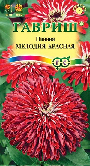 Семена Цинния Мелодия красная<br>
 <br>
 Спокойная красота цинний давно полюбилась цветоводам. Но сорт Мелодия выделяется своими необычными соцветиями. Свернутые в виде лодочки цветки-лепестки, остаются в таком виде с начала и до конца цветения. Такая особенность визуально делает соцветие аккуратным, красивым, пушистым, как будто оно недавно распустилось. Насыщенный красный цвет, который не выгорает, только подчеркивает природную красоту сорта. Цветет с конца июня до заморозков. Рекомендуется для классического озеленения сада, высадки в бордюры, рабатки, смешанные однолетние клумбы. Выращивают рассадным способом. Семена высевают в апреле на глубину 1 см.&nbsp;Всходы появляются через 4-6 дней. В начале июня растения высаживают в открытый грунт.<br>