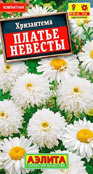 Семена Хризантема Платье Невесты.
Завораживающая красота белоснежных цветков хризантемы – словно платье невесты, очаровывает и дарит ощущение легкости и безмятежного счастья. Компактные кусты порадуют вас обильным и продолжительным цветением до самых заморозков. Великолепно подходит для оформления клумб, миксбордеров, бордюров, солитеров. Срезанные хризантемы долго стоят в воде, наполняя воздух изысканным, чуть горьковатым ароматом. Цветение: июль - сентябрь. Хорошо сочетается с гелиотропом, сальвией, бархатцами. Агротехника. Посев: май в открытый грунт, или осенью под зиму. Всходы прореживают на расстояние 20-30 см. Для усиления ветвления молодые растения прищипывают. Уход: Культура неприхотливая и нетребовательная к условиям выращивания. Предпочитает открытые или слегка затененные места с произвесткованной, легкой, умеренно плодородной почвой. Перед цветением рекомендуется провести 2-3 подкормки раствором комплексного минерального удобрения. Для стимуляции развития новых цветоносов рекомендуется проводить легкую обрезку.