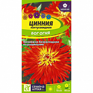 Семена Цинния кактусовидная Бог огня