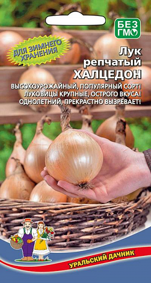 Семена Лук репчатый Халцедон
