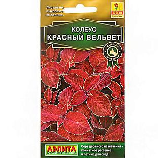 Семена Колеус блюме Красный вельвет