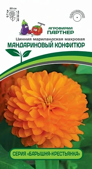 Цинния МАНДАРИНОВЫЙ КОНФИТЮР мариландская махровая из каталога Цинния Описание
Характеристики:
тип растения — однолетник, категория F1;
видовое название — мариландская;
высота растения — 40–50 см;
диаметр куста — 60 см;
диаметр цветка — 6–7 см;
окраска цветка — оранжевая.
 
semena-partner.ru
agropoliprom.ru
Особенности:
один куст формирует до полусотни густомахровых цветков-шаров;
устойчивость к жаре, дождю и комплексу заболеваний, в том числе к серой гнили (Botrytis).