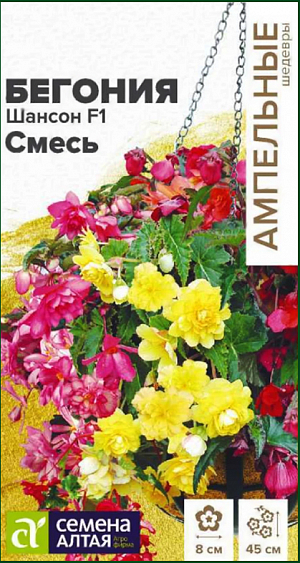 <div>
 Семена Бегония Шансон F1 смесь.
</div>
 Многолетник. Прекрасное облако из сочных красивых листьев с махровыми и полумахровыми цветками. Цветки разнообразной окраски, до 6-8 см. в диаметре. Побеги свисающие, длиной 80 см. Цветет обильно все лето и осень. Легко размножаются семенами.<br>
 <br>
Предпочитают почвы со слегка кислой реакцией. Хорошо отзываются на подкормку. Посев производят в конце декабря-начале марта. Семена высевают не заделывая. Посевы содержат под стеклом и до первой пикировки равномерно увлажняют теплой водой. Пикируют в стадии 2-3 настоящих листочков. После цветения полив уменьшают до полного подсыхания надземной части, которую удаляют. Растения ставят в сухое прохладное место на 2-2,5 месяца, лишь изредка увлажняя почву. Бегония отлично подходит для украшения балконов, подоконников, а также для посадки в открытый грунт. Летом прекрасно смотрится в садах, скверах и парках.
