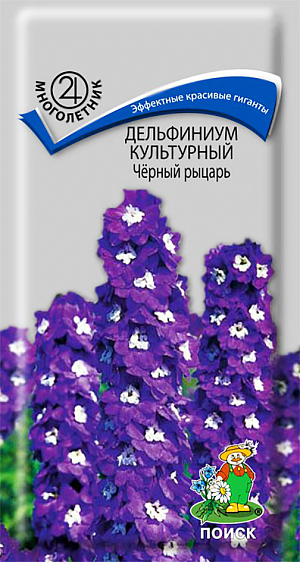 Семена Дельфиниум Чёрный рыцарь культурный.
Великолепный сорт для срезки. Растение высотой 120-180 см, развивает по 8-10 цветоносных стеблей. 
Фиолетово-синие цветки собраны в гигантские, длиной до 70 см, кисти. 
Зацветает в конце июня и цветет весь июль. После основного цветения цветоносы срезают, чтобы вызвать вторую волну цветения.
 Используют для групповых и одиночных посадок, срезанные цветы хорошо сохраняются в воде. 
Агротехника. Растение морозостойкое и засухоустойчивое. 
Предпочитает солнечное место, хорошо растет на питательных и умеренно влажных почвах. 
Размножают семенами, черенками и делением корневищ. Омолаживание проводят каждые 4-5 лет весенним делением куста. 
Посев семян производят весной или осенью в открытый грунт. Глубина заделки семян 0,3-0,5 см. 
При температуре почвы +10°C всходы появляются через 20-30-й день. Расстояние между растениям 30-40 см