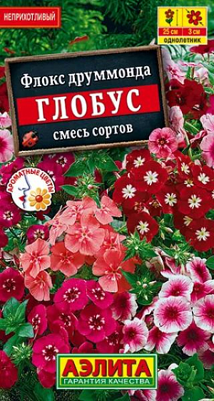 Семена Флокс Глобус смесь окрасок.
Компактная, обильноцветущая смесь с яркими, ароматными цветками. Кустики плотные, прямостоячие, сильно-ветвящиеся, высотой до 20 см. Цветки O2-3 см собраны в щитковидные соцветия. Не выгорают на солнце. Цветение раннее и продолжительное, с июня до окончания сезона. Растения холодостойкие, выдерживают заморозки до -5°С, требуют солнечного месторасположения. Широко используются в бордюрах, вдоль дорожек, для окантовки клумб. Подходят для выращивания в горшках и балконных ящиках. Агротехника. Посев семян на рассаду в начале марта. С появлением первой пары настоящих листочков сеянцы пикируют. В открытый грунт закаленную рассаду высаживают с середины мая. Растениям необходимы регулярные поливы, прополки, рыхления и подкормки. 