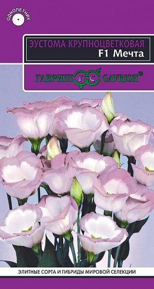 Семена Эустома Мечта F1. <br>
Сказочно красивое и очень нежное однолетнее растение с цветками похожими на полуоткрытые бутоны розы, с атласными, спиралевидно расположенными лепестками. Низкорослый, компактный сорт, специально предназначенный для посадки в контейнеры и для комнатной культуры. Стебли прочные, разветвленные, до 25 см высотой, образуют на верхушке целый букет розово-белых цветков. Предпочитает полутень, окультуренную почву, регулярные поливы и опрыскивания, не переносит сквозняков. Отличается мощной корневой системой и устойчивостью к заболеваниям, вызванными бактериями, мешающими нормальному развитию растений. Для получения цветущих растений в июле-августе посевы проводят в конце февраля-начале марта. Семена высевают поверхностно, слегка вдавливая в субстрат и накрывают стеклом. При температуре 16-19оС всходы появляются через 20-25 дней. В горшок пикируют сеянцы в фазе 4-х настоящих листьев через 12-13 недель. В грунт высаживают, когда минует угроза заморозков. На зиму растения можно перенести в зимний сад и выращивают как комнатные.