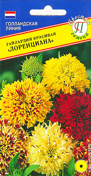 Семена Гайлардия Лоренциана красивая.
Однолетник. Высокорослый (60 см) сорт гайлардии. Трубчатые цветки собраны в большие, плотные, махровые соцветия, очень декоративного вида, без запаха. Серия имеет яркие, насыщенные цвета. Гайлардия идеально подходит для групповых посадок, рабаток и миксбордеров, смешанных клумб. Посев осуществляют в феврале-марте в рассадные ящики. Семена равномерно распределяют по поверхности влажного компоста, слегка заделывают, накрывают стеклом или прозрачной плёнкой для поддержания влажности. При температуре около 18-22 градусов семена прорастают 1-2 недели. После прорастания плёнку или стекло убирают. В дальнейшем выращивают на свету, но избегая попадания прямых солнечных лучей. После появления 1-2 пары настоящих листочков сеянцы пикируют в отдельные горшочки или ящики шагом 8-13 см. На постоянное место подросшие растения рекомендуется высаживать с шагом 20-30 см начиная с середины апреля. Можно высаживать гнездами по 3-4 растения. Предпочитает сухие, питательные, некислые почвы. Высаживают на открытых солнечных местах. Не переносит избытка влаги, поливают только при пересыхании почвы в жаркую погоду. Удаление увядших соцветий способствует образованию новых бутонов.