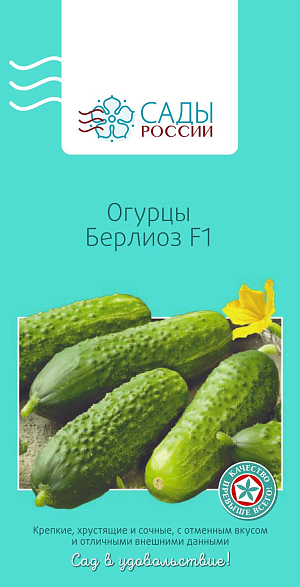 Семена Огурец Берлиоз