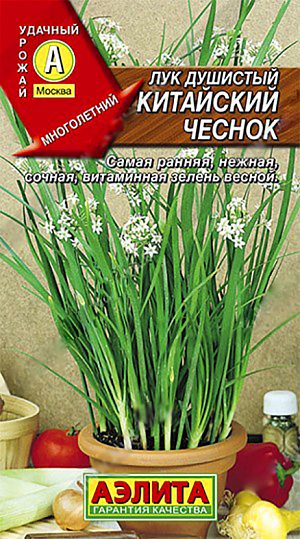 Семена Лук душистый Китайский чеснок