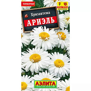 Семена Хризантема Ариэль