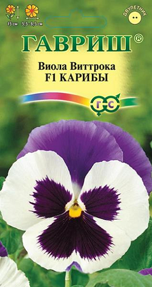<div>
 Семена Виола Карибы F1.
</div>
 <article>
<p>
 Неприхотливое популярное растение из семейства Фиалковые высотой 15 см. Цветет обильно и продолжительно с мая по сентябрь. Цветки крупные, 5,5-6,5 см. в диаметре, белые с темно-фиолетовым глазком и пурпурно-розовым крылом. Гибрид устойчив к перепадам температур. Растение влаголюбивое, холодостойкое, хорошо растет на солнце и в полутени. Для получения растений, цветущих в год посева, семена высевают на рассаду в феврале-марте.&nbsp;
</p>
<p>
 Всходы появляются через 5-7 дней. В открытый грунт рассаду высаживают в конце апреля-начале мая на расстоянии 20 см. Хорошо переносят пересадку в цветущем состоянии. При посеве в открытый грунт в июне-июле, цветение наступает во второй год. Используют для посадки на клумбы, в рабатки, балконные ящики и садовые вазы.
</p>
 </article>