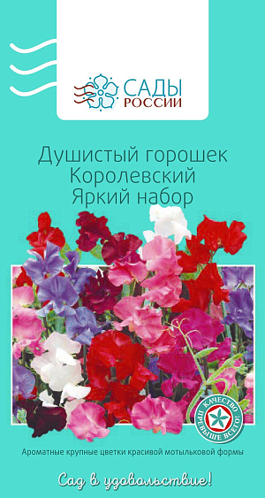 Душистый горошек Королевский Яркий набор

Душистый горошек, или чина душистая, представитель семейства бобовых. Совмещает в себе сразу три ценных качества: приятный запах, яркую, чистую окраску цветков и продолжительное цветение. Цветки до 3–6 см в диаметре собраны в кистевидное соцветие. Перед посевом семена замочить в воде на 10–12 часов, а субстрат обеззаразить малиновым раствором марганцовки. Выращивать рассаду лучше в теплице. Холодостойкий.