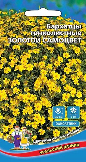 <p>
 Семена Бархатцы тонколистные Золотой самоцвет.
</p>
<p>
 Обилие цветков вызывает восхищение. Изящный, шаровидный куст, высотой 20-30 см., очень ветвистый, с тонкими стеблями и светлыми, перисто-рассеченными листьями. Соцветия плоские, немахровые, диаметром 2 см., золотисто-желтые. Используют для обрамления клумб, бордюров и украшения балконов.
</p>
<p>
 Растение светолюбивое, засухоустойчивое. Предпочитает плодородные и солнечные места (может расти при небольшом затенении). Семена на рассаду высевают в начале апреля, но для более раннего цветения их можно посеять в марте. Высаживают в открытый грунт в конце мая - начале июня (когда минует угроза заморозков). Расстояние между растениями при посадке 20-30 см. Для продолжительного и обильного цветения растениям необходим своевременный полив, регулярная прополка, рыхление и подкормка минеральными удобрениями.
</p>