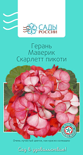 Семена Герань Маверик Сарлетт пикоти 