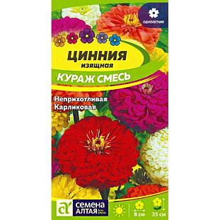 Семена Цинния карликовая Кураж смесь